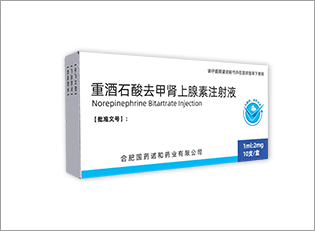 重酒石酸去甲腎上腺素注射液